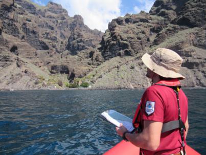 Campaña en Teno para proteger la reproducción del guincho