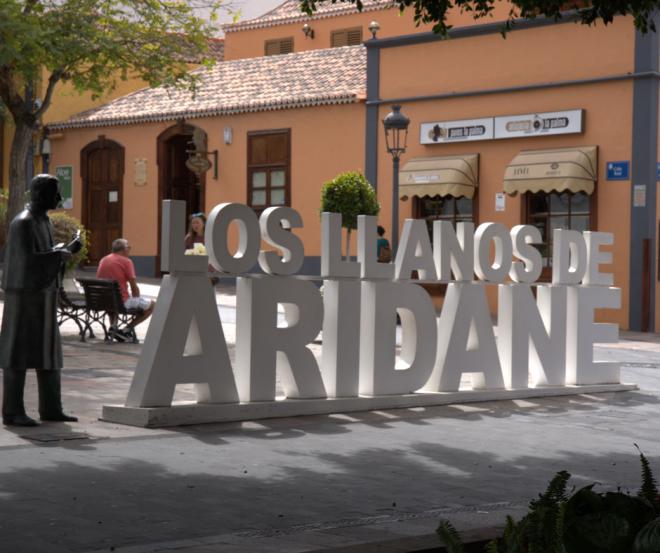 FEDEPALMA y ACZA piden frenar la zona de gran afluencia turística