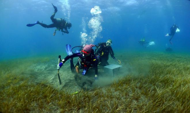 Innoceana pionera con el proyecto 'Los Jardineros del Mar'
