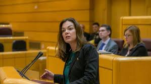 Nueva Canarias reclama que el Senado participe en la reforma del modelo territorial