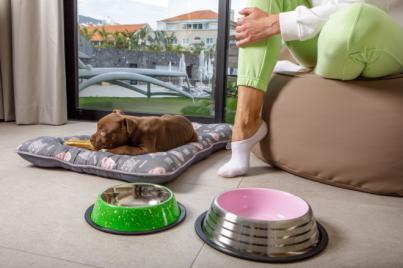 MYND Adeje honra su filosofía sostenible con su oferta ‘pet-friendly’