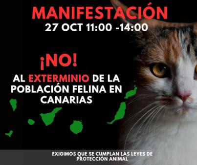FAUDA denuncia falta de ética en el exterminio felino canario