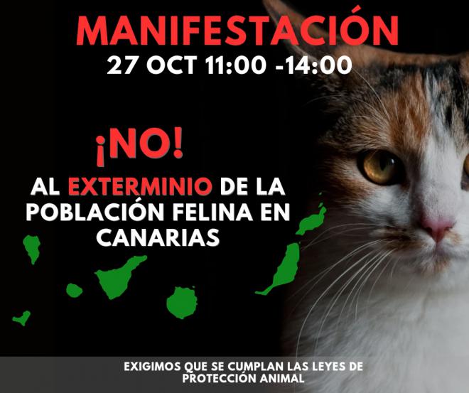 FAUDA denuncia falta de ética en el exterminio felino canario