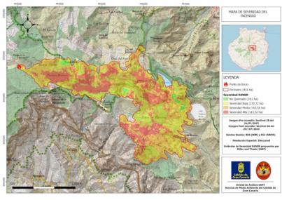 Solo 113 de las 431 hectáreas del incendio de Tejeda presentan afección de alta intensidad