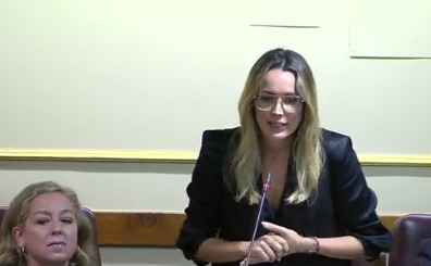 Fernández insta al Gobierno a fiscalizar las compañías aéreas por la subida “arbitraria” de precios