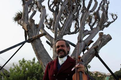 Festival navideño gratuito para celebrar la supervivencia del árbol en el Hotel Buen Retiro
