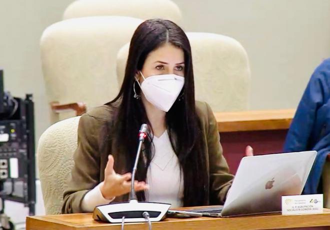 Melodie Mendoza insiste en la creación de un destacamento permanente de la Policía Canaria