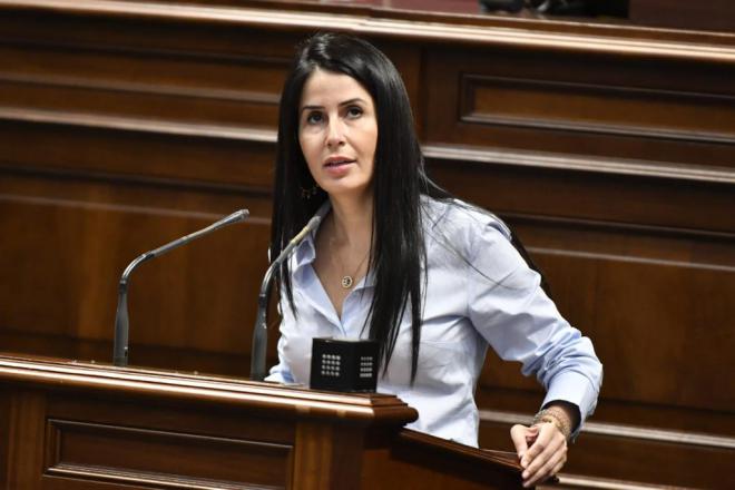 Mendoza apela a que la UE garantice las singularidades de la fiscalidad canaria en el Impuesto de Sociedades