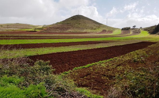 CC-PNC solicita una planta de compostaje en Birmagen como alternativa a la incineradora