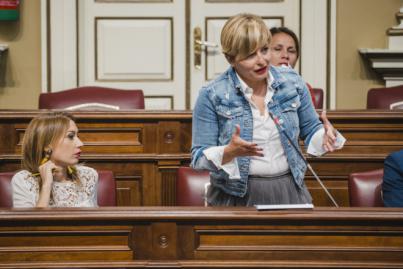 Alemán valora la responsabilidad de los transportistas en Canarias