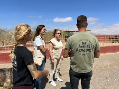 Sumar-Nueva Canarias luchará en la UE por abolir las peleas de gallos en Canarias