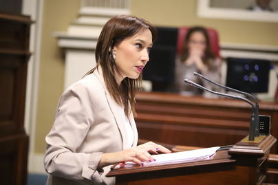 “Son ustedes el Gobierno del olvido generalizado, distan mucho de las necesidades reales de la ciudadanía de Canarias”