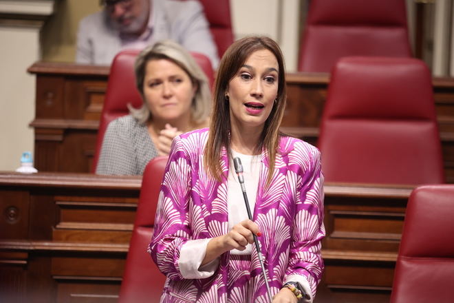 Fierro critica a Domínguez por su incapacidad económica