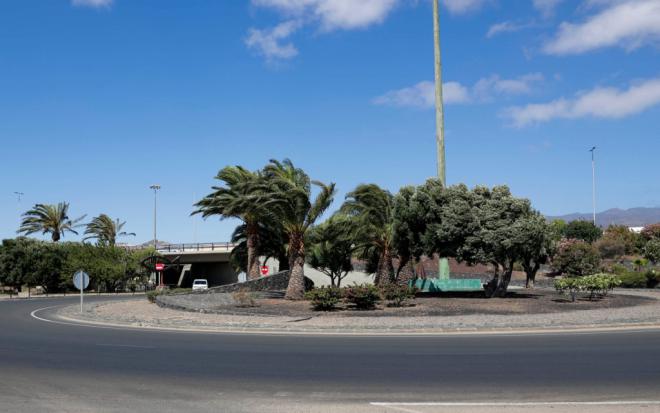 Mejora de áreas arboladas y jardines en carreteras de Gran Canaria