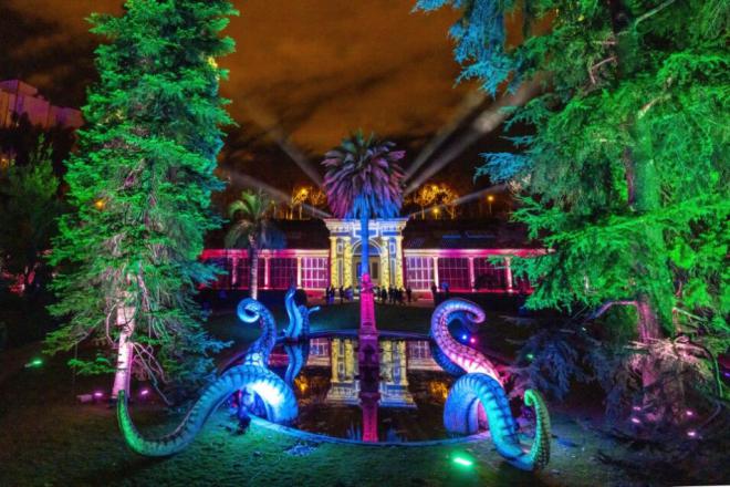 La mágica iluminación de Naturaleza Encendida llega al Palmetum