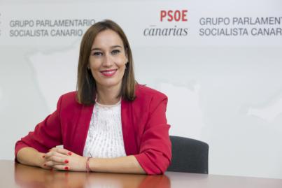 El PSOE afirma que los nuevos Presupuestos de Canarias "consolidan la senda del progreso iniciada en 2019"