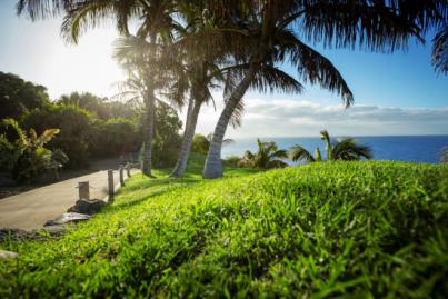 El Palmetum gana el premio Travelers' Choice 2022 de la plataforma Tripadvisor