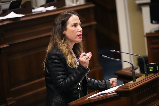 Hernández califica de “chapuza” el Decreto de Vivienda