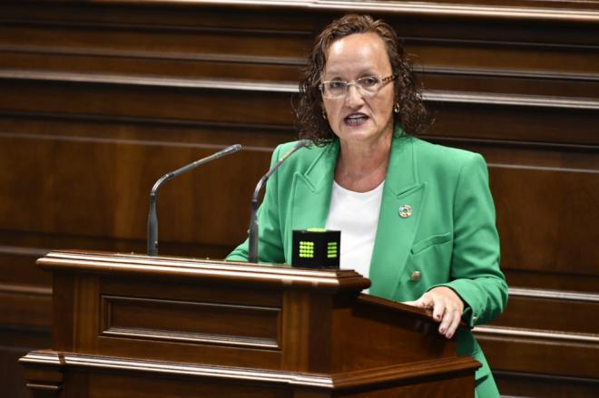 La nueva Ley del Deporte debe garantizar la participación en igualdad de condiciones de los deportistas canarios