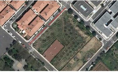 Tacoronte contará con un arboretum frutal conformado por más de 70 árboles