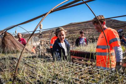 El Cabildo prepara la repoblación de las zonas del Teide afectadas por el incendio