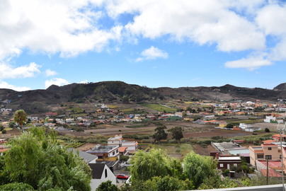 La Laguna adapta su PGO para facilitar e impulsar la actividad agrícola y ganadera local