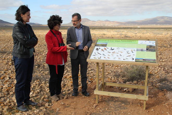 Fuerteventura promueve el turismo ornitológico