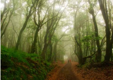 La revista ‘Viajar’ destaca la naturaleza y el eterno verano de La Gomera