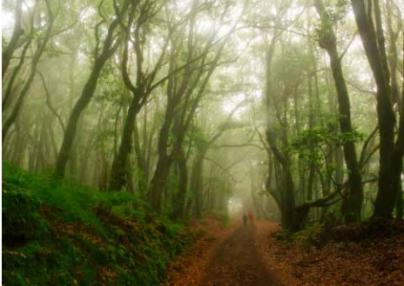 La revista ‘Viajar’ destaca la naturaleza y el eterno verano de La Gomera