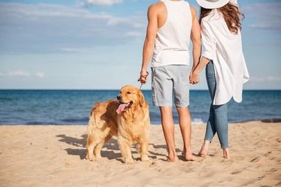 Casi siete millones de españoles viajan con su perro