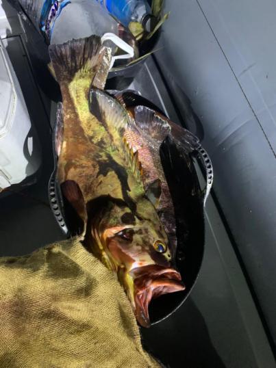 Agentes del Servicio de Inspección Pesquera denuncian a dos pescadores furtivos con 148 kilos de pescado