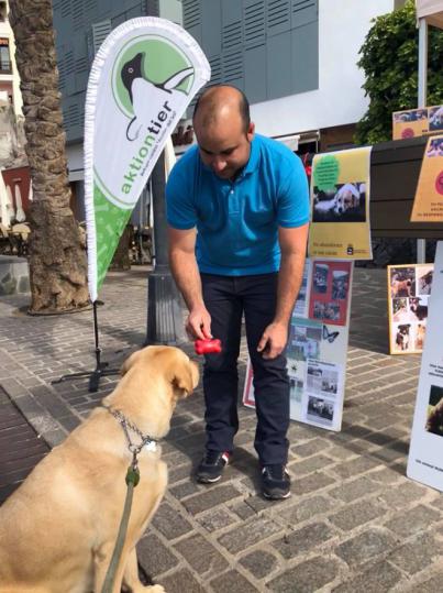 ¡Al agua patas! Guía de Isora organiza una jornada de piscina para perros