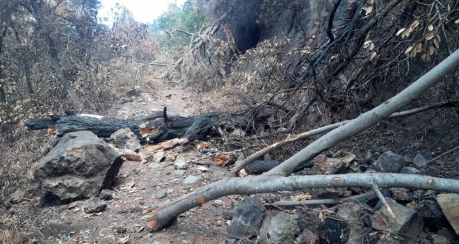Sigue la prohibición de transitar por las pistas y senderos afectados por el incendio