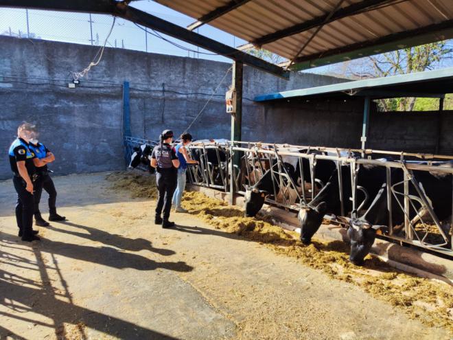 La Policía Autonómica localiza una gran cantidad de cadáveres de animales en una granja