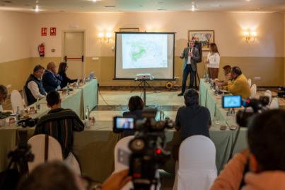 Decreto-Ley para recuperar la máxima superficie de cultivo posible en La Palma