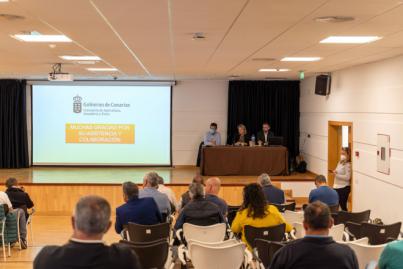 El Gobierno inicia el estudio de viabilidad para la reposición de las plataneras afectadas por la lava