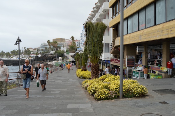 Puerto de la Cruz consolida la creación de empleo