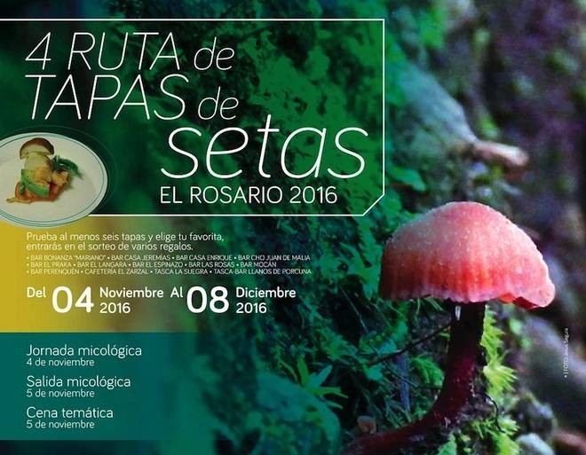 La IV Ruta de la Tapa de Setas contará con premios a las tres mejores