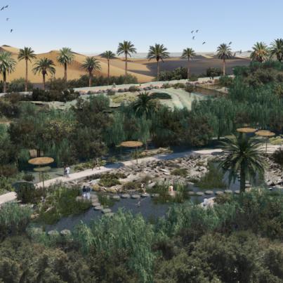 Cabildo y el Ayuntamiento acondicionan el palmeral de Maspalomas con una inversión de 6,8 millones