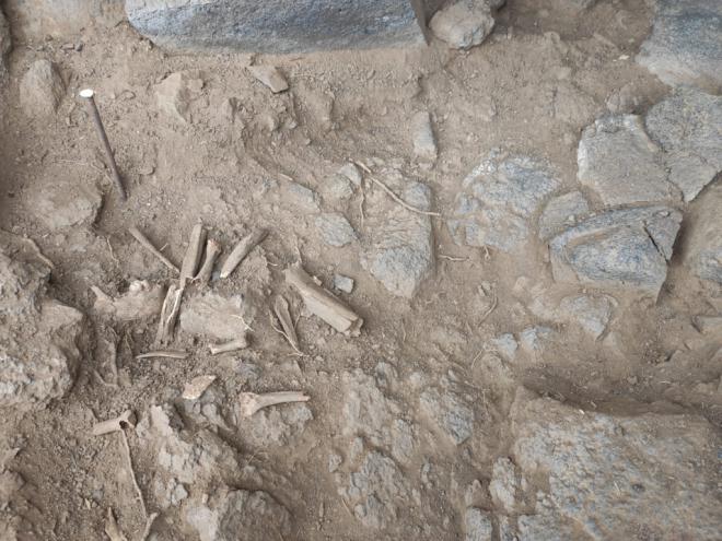 Una cueva sepulcral de El Carrizal de Tejeda arroja nueva luz sobre las prácticas funerarias aborígenes