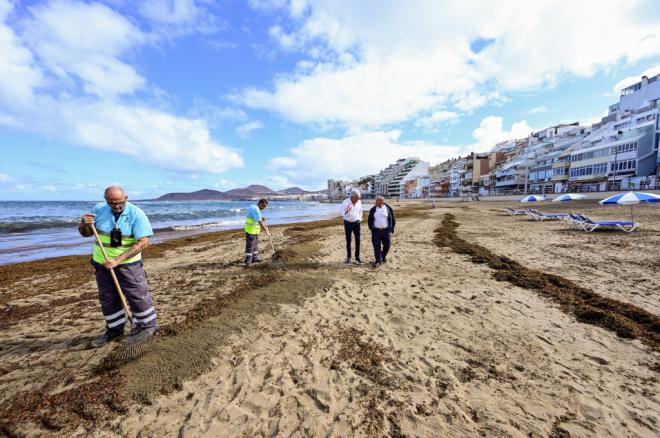 Ciudad de Mar garantiza el equilibrio ecosistémico de las playas