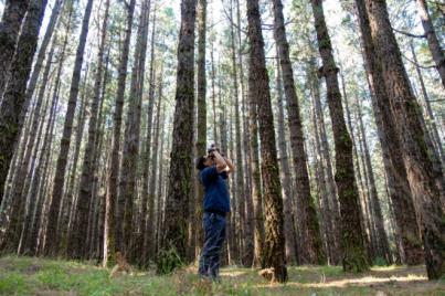 Profesionales del sector audiovisual de EE UU sondean las localizaciones de rodaje de Tenerife