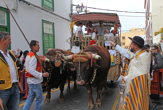 La romería honra la devoción de Arona hacia San Antonio Abad