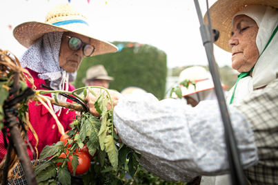 Los arayeros homenajean a Fermín Gil Torres y a las mujeres jornaleras de la zafra del tomate