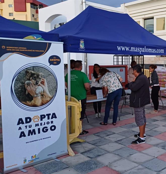 Se buscan familias de acogida para los perros de la perrera municipal