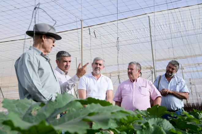 El Gobierno potenciará la producción local