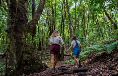 La Gomera acuerda postularse para albergar la sede de la Agencia Europea del Turismo