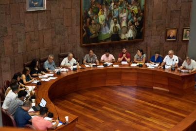El Cabildo exige a Endesa que asuma todas las pérdidas ocasionadas