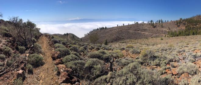 Este domingo tercera carrera de montaña con más altitud de Canarias
