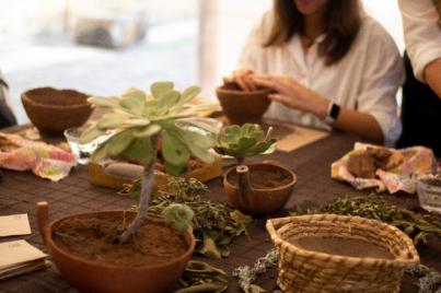 Sabores y tradiciones del Macizo de Anaga en la Recova del Anaga Biofest